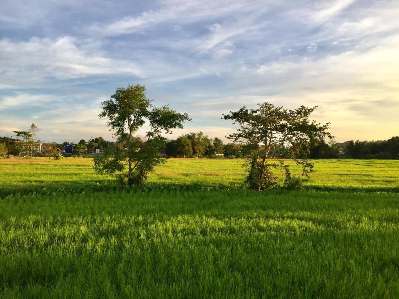 Six Nature Resort Chiang Rai Exterior photo